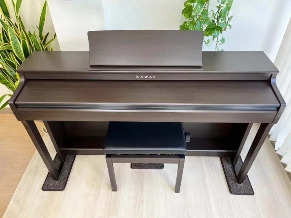 KAWAI CN29 DW
