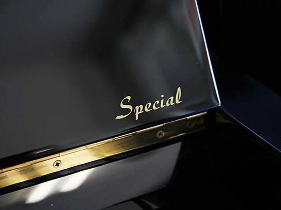 Đàn piano Kawai KAWAI CX-21DP – Chi tiết bàn phím