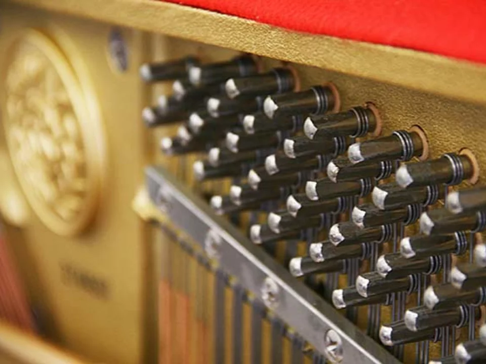 Review KAWAI CX-21DP – Hình ảnh thực tế tại showroom Elite Piano