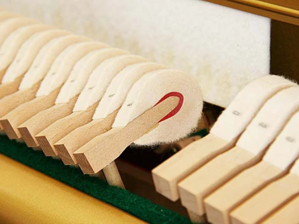 Chi tiết KAWAI CX-21DP