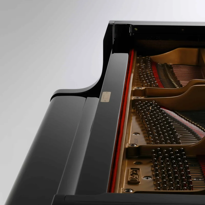 KAWAI GL50 PE