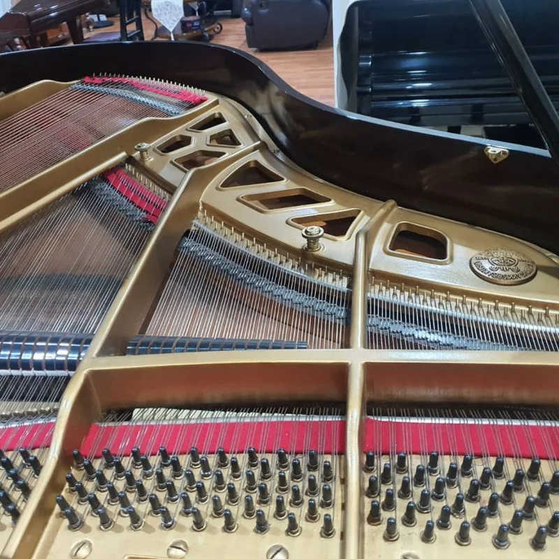KAWAI KG-3 PE