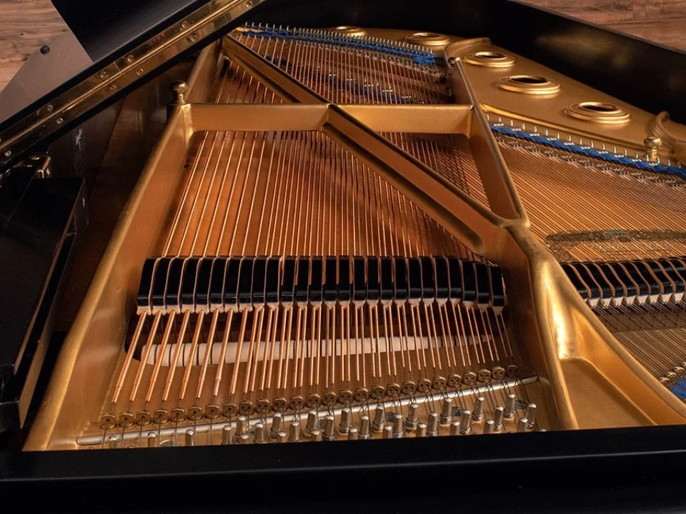 Review KAWAI KG-6C – Hình ảnh thực tế tại showroom Elite Piano
