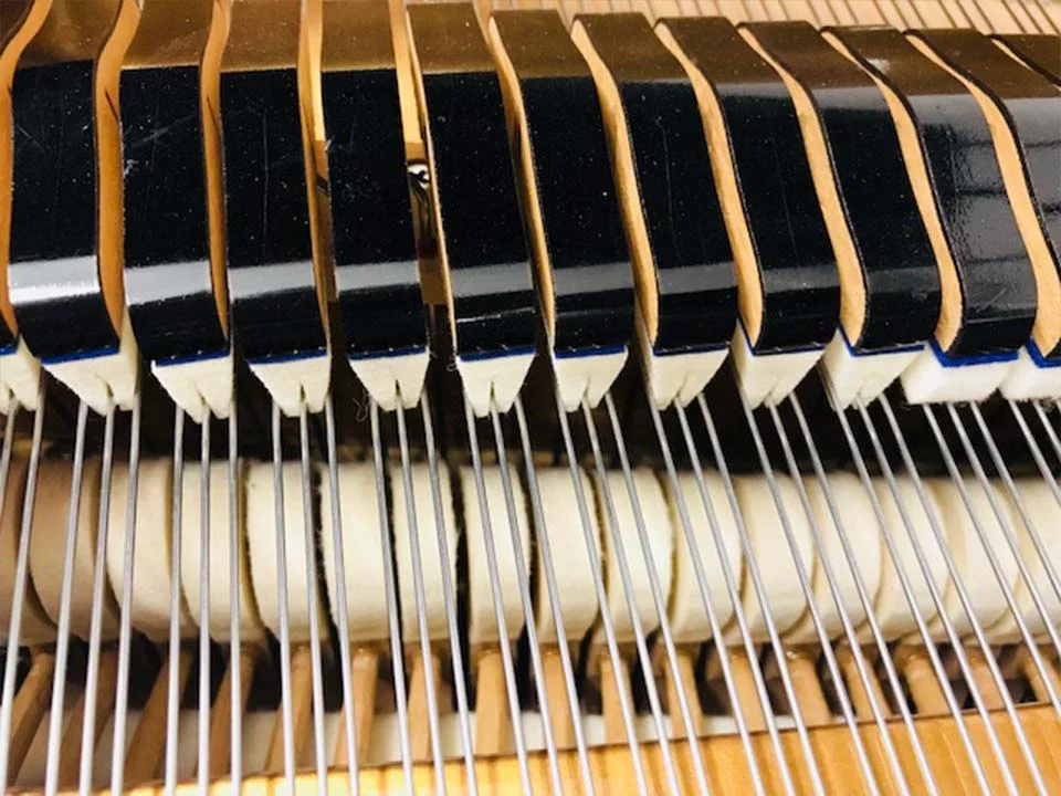 KAWAI KG-2D PE