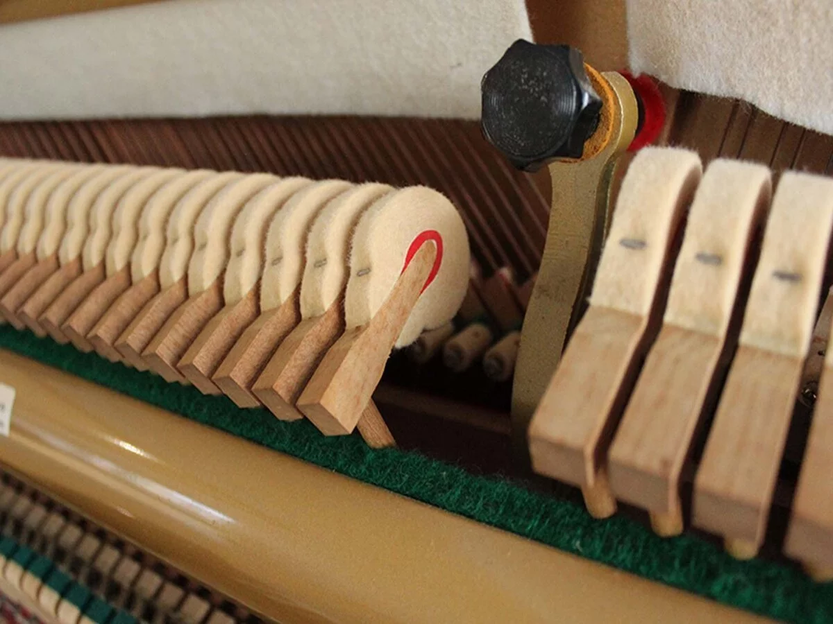 Review KAWAI KS5F – Hình ảnh thực tế tại showroom Elite Piano