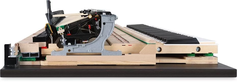KAWAI NV10 Hybrid
