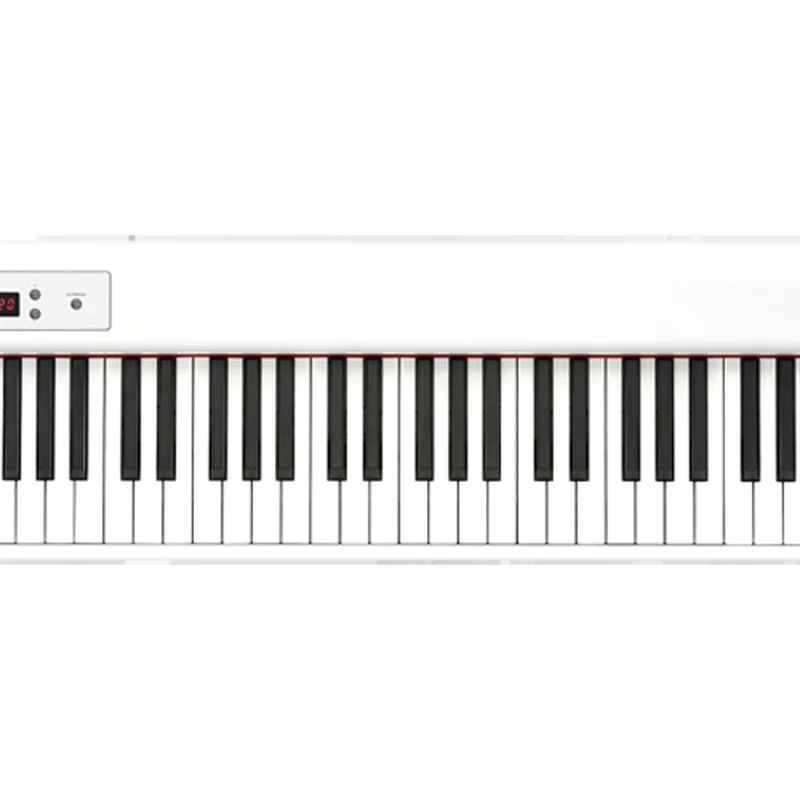 Korg D1 White