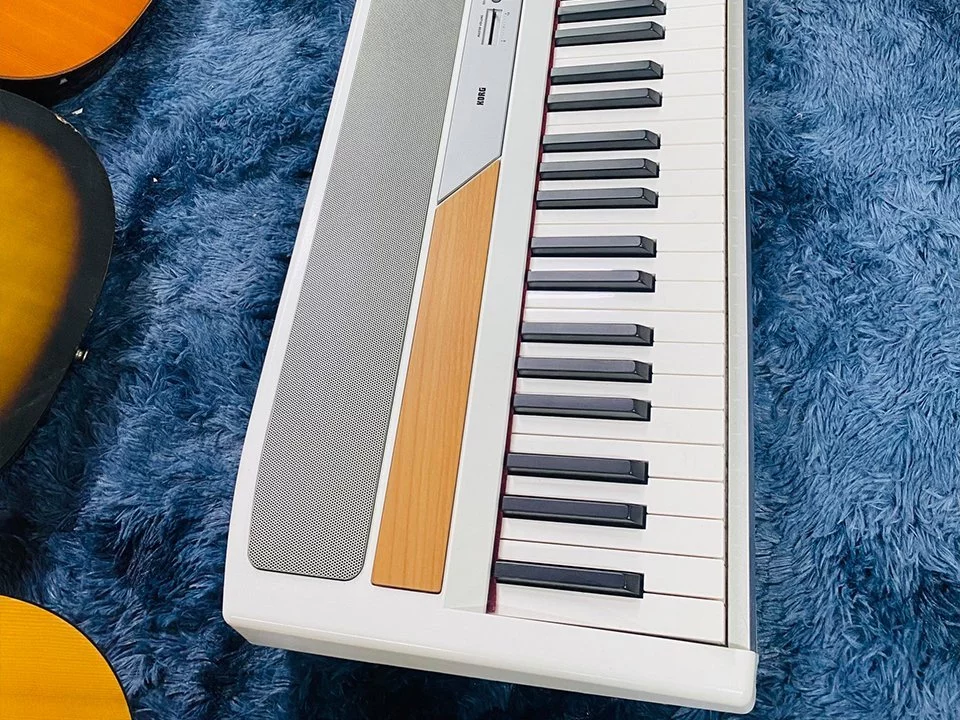 KORG SP-250 – Toàn cảnh thiết kế tại Elite Piano