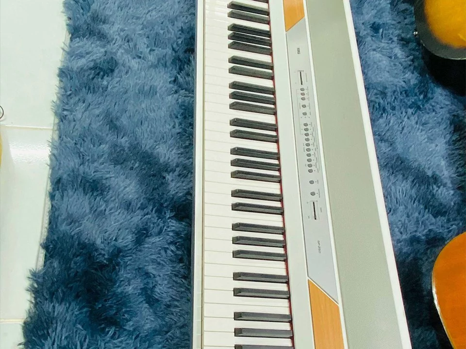 Đàn piano Korg KORG SP-250 – Chi tiết bàn phím