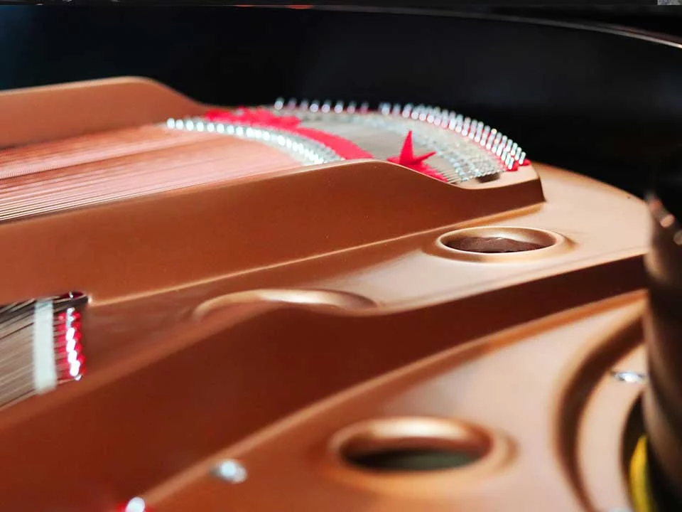 Không gian trưng bày MHA-160G - Artist Series tại showroom Elite Piano