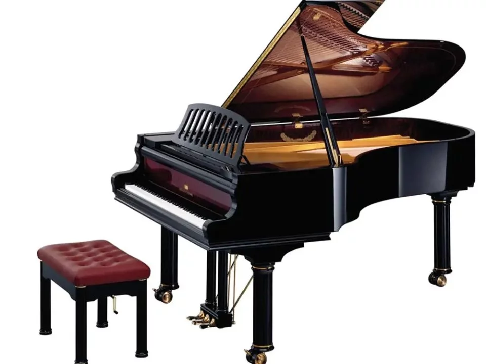 Nikolaus Wilhelm Schimmel Edition – Toàn cảnh thiết kế tại Elite Piano