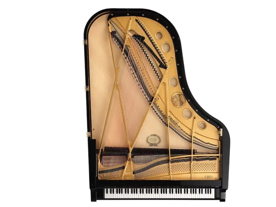 Nikolaus Wilhelm Schimmel Edition – Mặt sau và hệ thống dây đàn Schimmel
