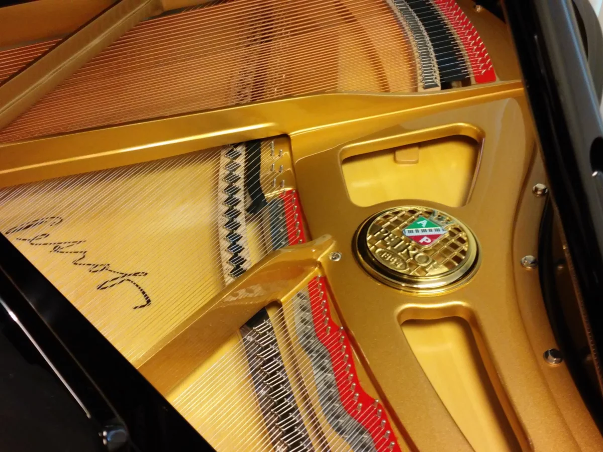 Review P-159 BORA – Hình ảnh thực tế tại showroom Elite Piano