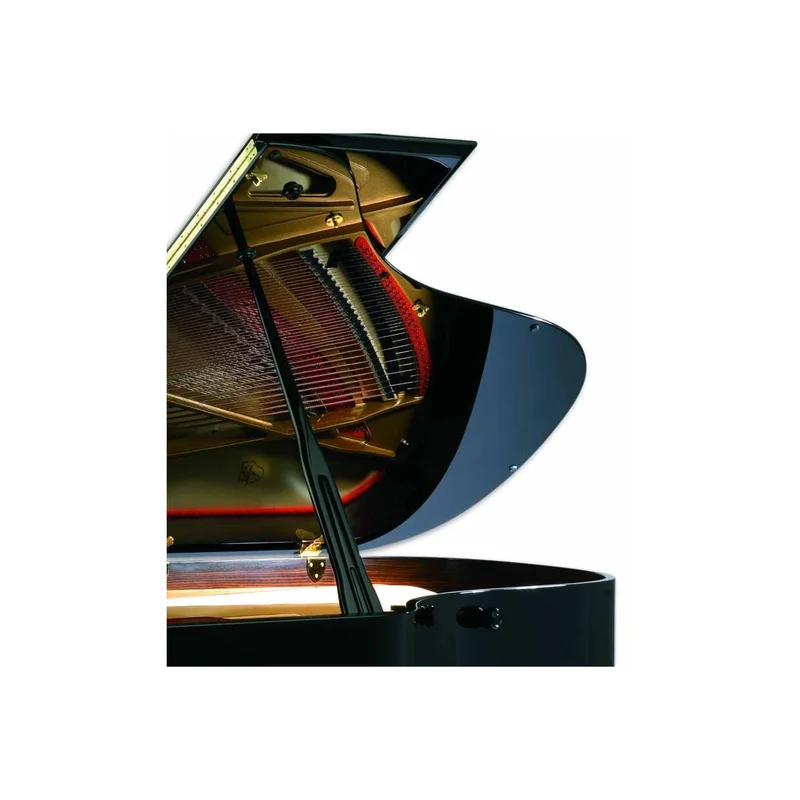 Review P-194 STORM – Hình ảnh thực tế tại showroom Elite Piano
