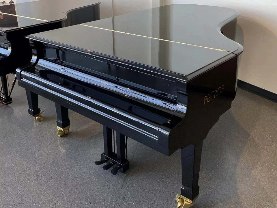 P-237 MONSOON (USED) – Toàn cảnh thiết kế tại Elite Piano