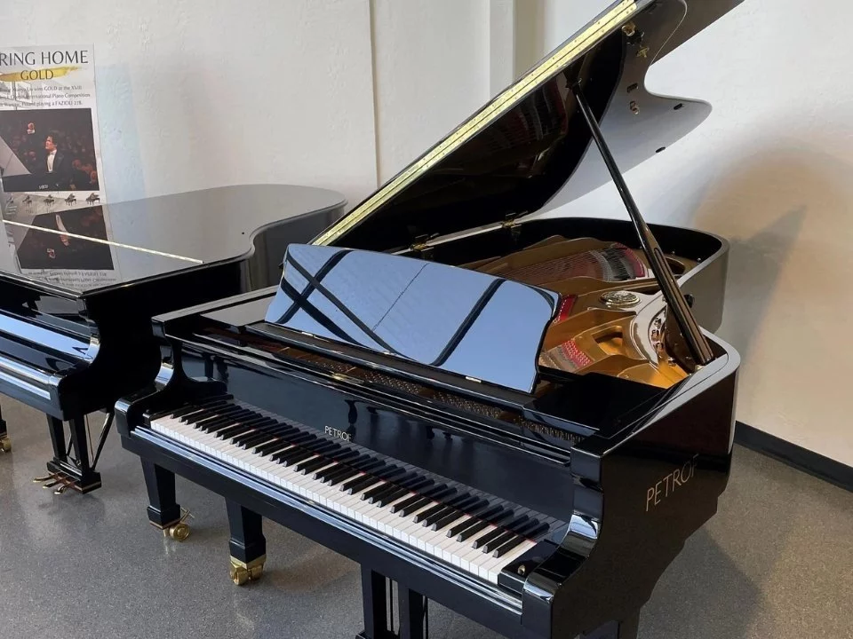 P-237 MONSOON (USED) - Đàn Piano Petrof tại Elite Piano