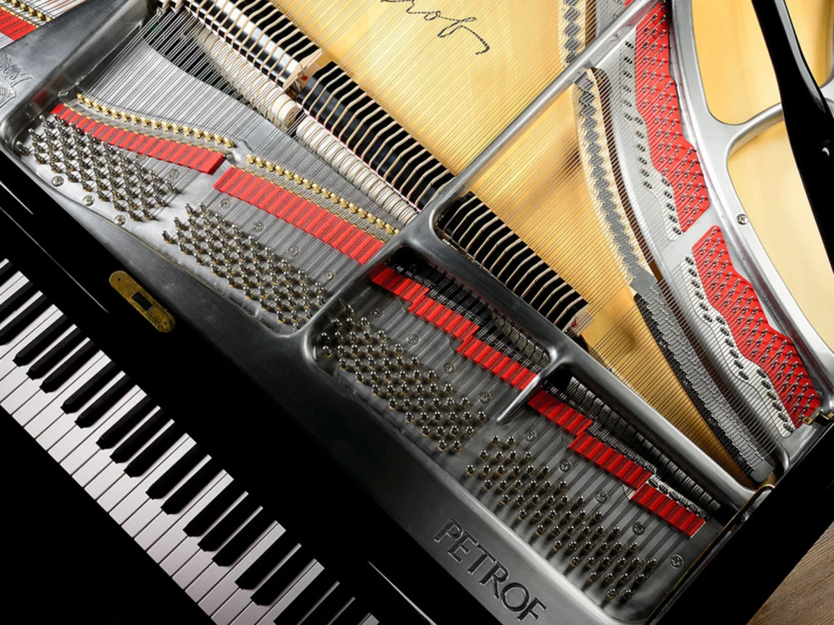 P-237 MONSOON – Toàn cảnh thiết kế tại Elite Piano