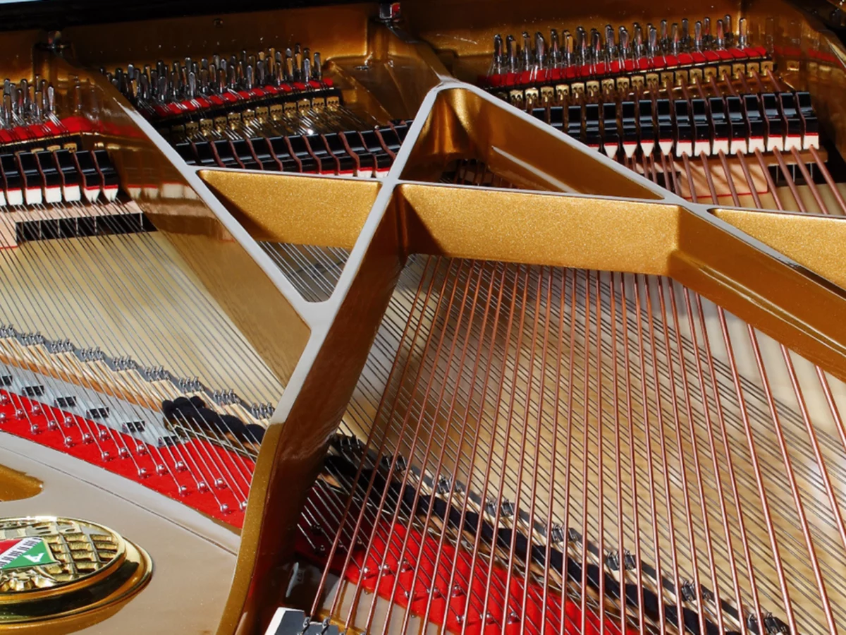 Review P-237 MONSOON – Hình ảnh thực tế tại showroom Elite Piano