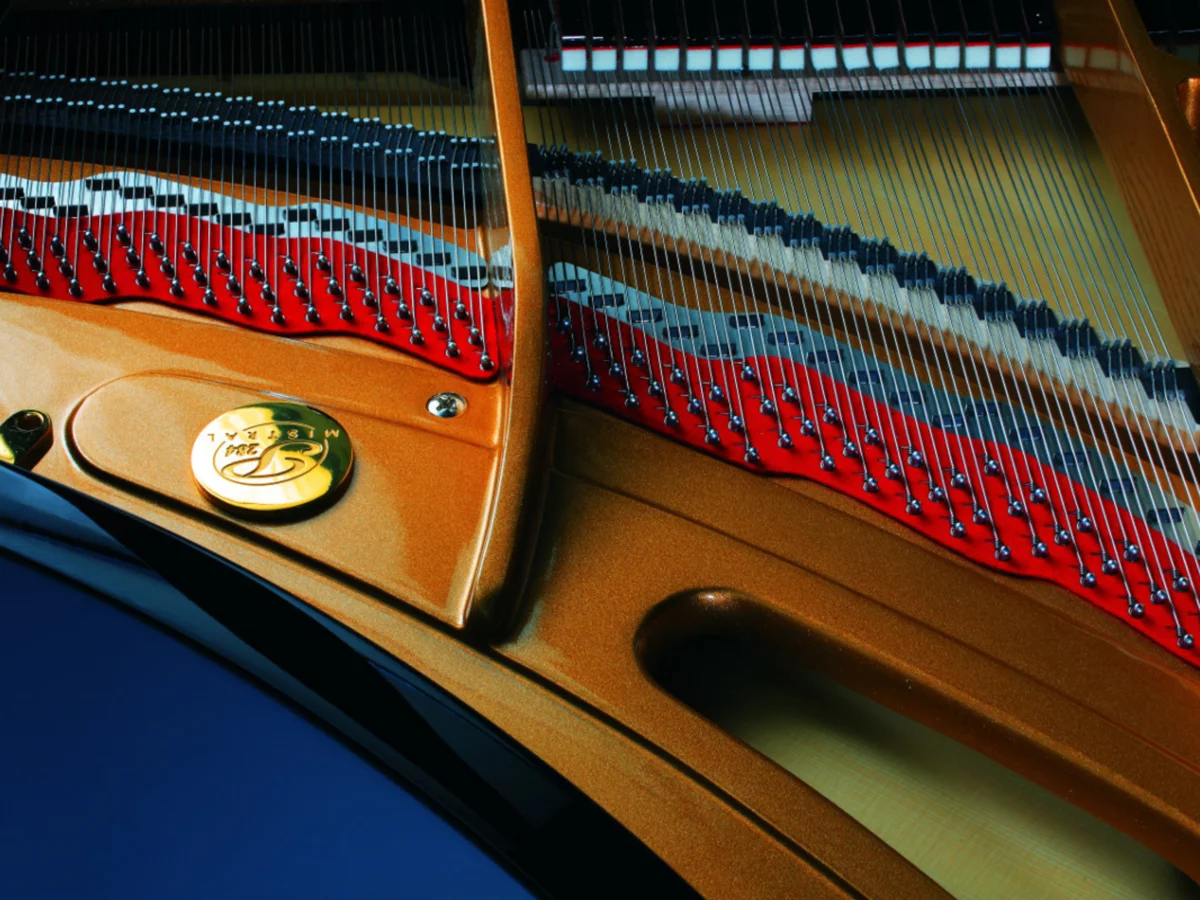Review P-284 MISTRAL – Hình ảnh thực tế tại showroom Elite Piano