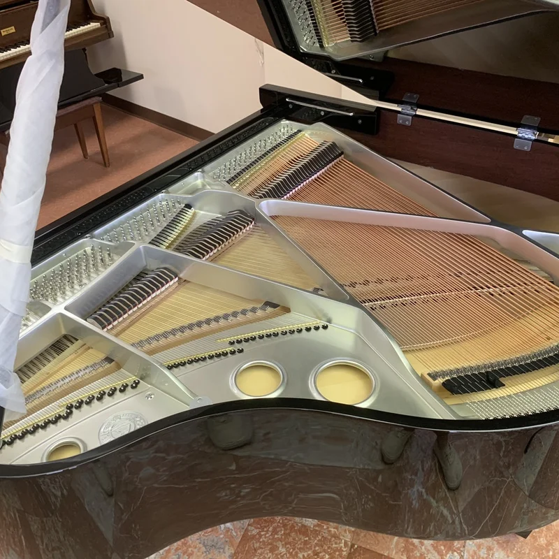 Review Pearl River GP150SP – Hình ảnh thực tế tại showroom Elite Piano