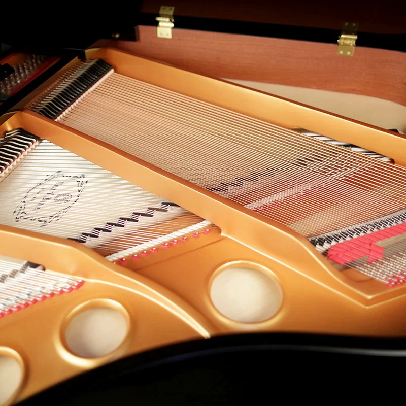 Review Pearl River P9 – Hình ảnh thực tế tại showroom Elite Piano