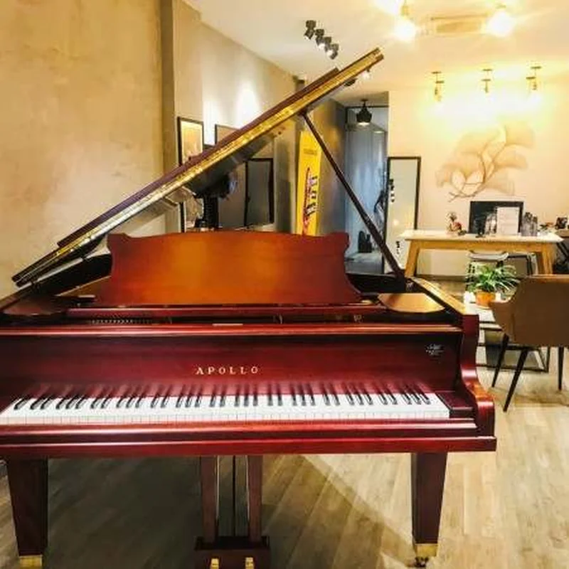 Review PIANO APOLLO AS300 – Hình ảnh thực tế tại showroom Elite Piano