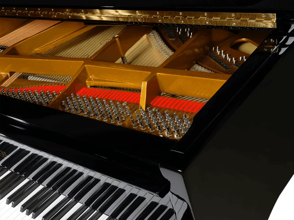 Pleyel OP190-BLK