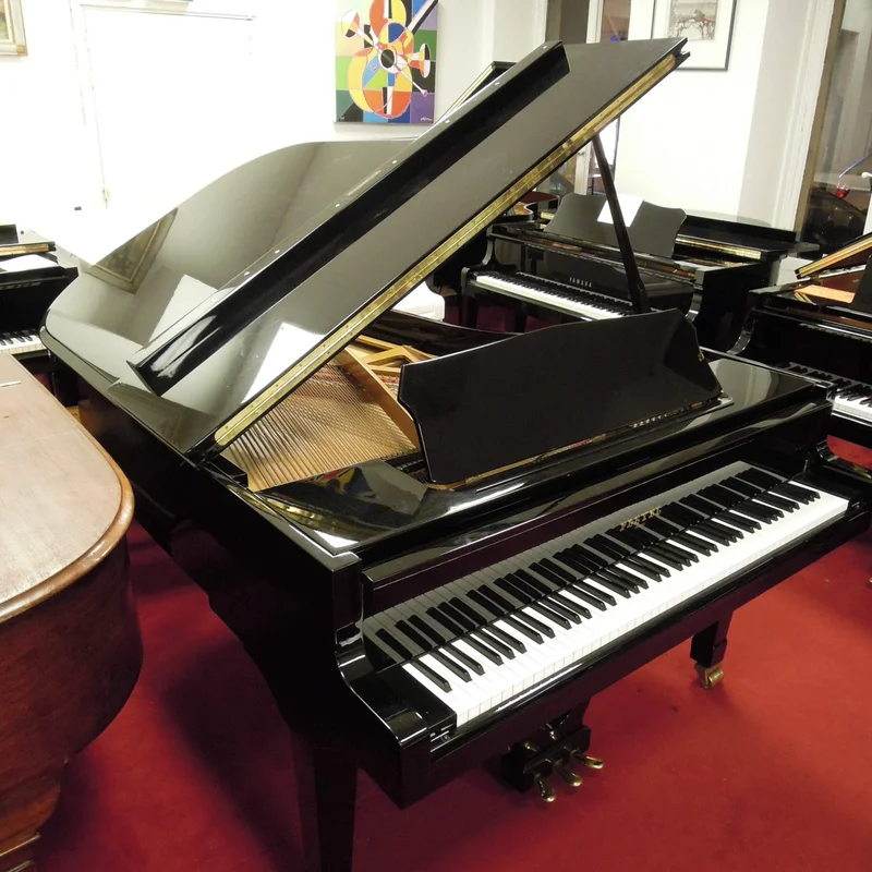 Review Pleyel OP190-BLKR – Hình ảnh thực tế tại showroom Elite Piano