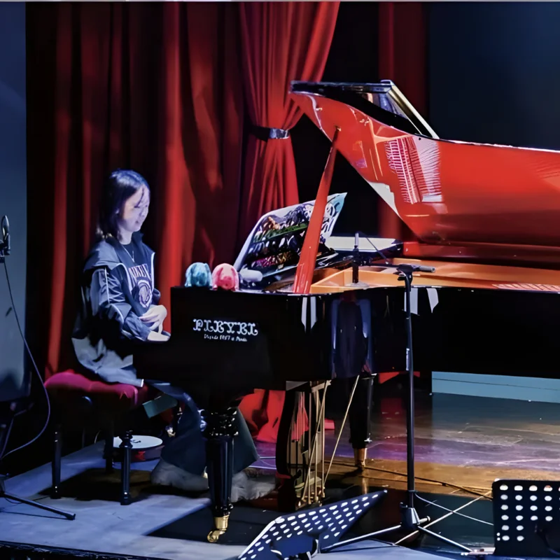 Pleyel OP190-BLKR