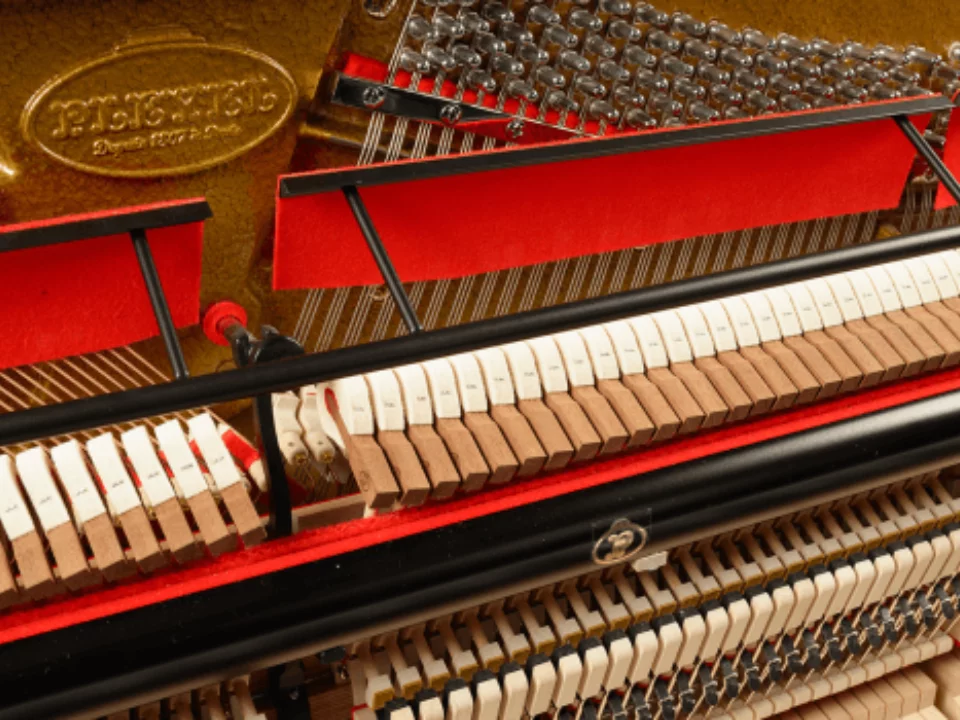 Review Pleyel P124-WHT – Hình ảnh thực tế tại showroom Elite Piano