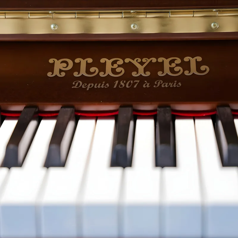 Pleyel P131R-HOMS - Đàn Piano Pleyel tại Elite Piano