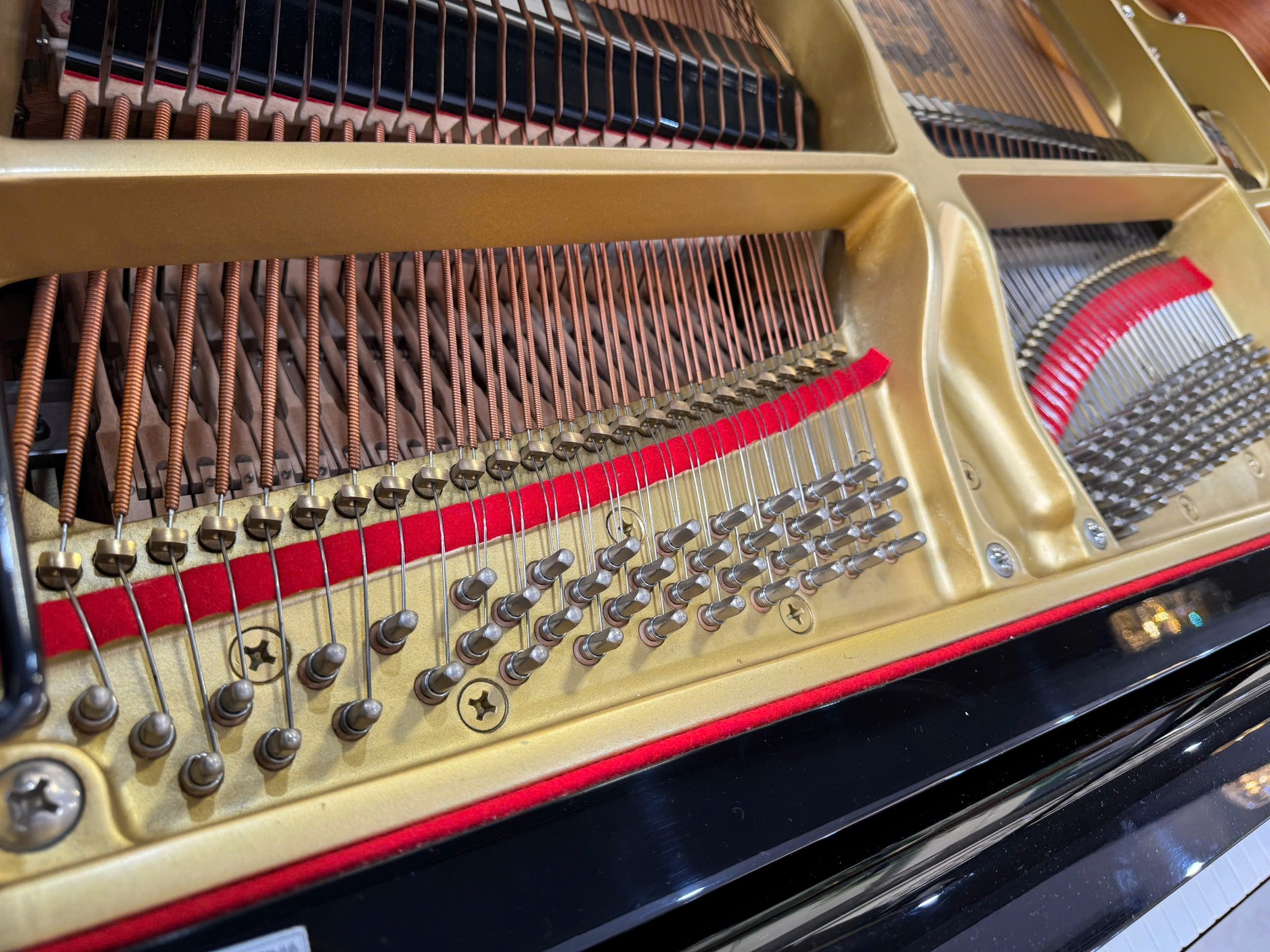 Review YAMAHA G5E 3 (Pedal) – Hình ảnh thực tế tại showroom Elite Piano