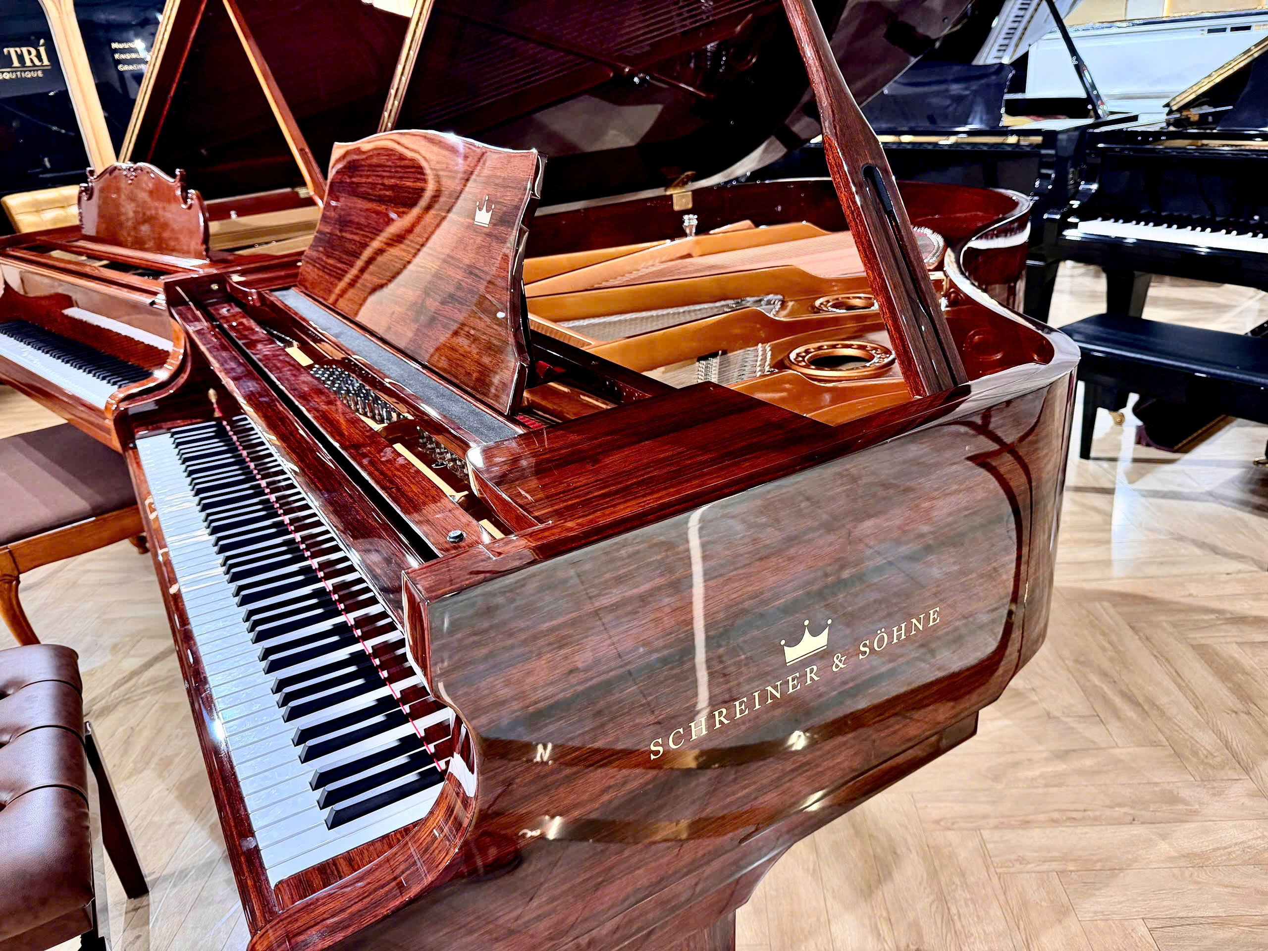 Review Schreiner & Söhne GP-170 (Macassar Ebony) – Hình ảnh thực tế tại showroom Elite Piano