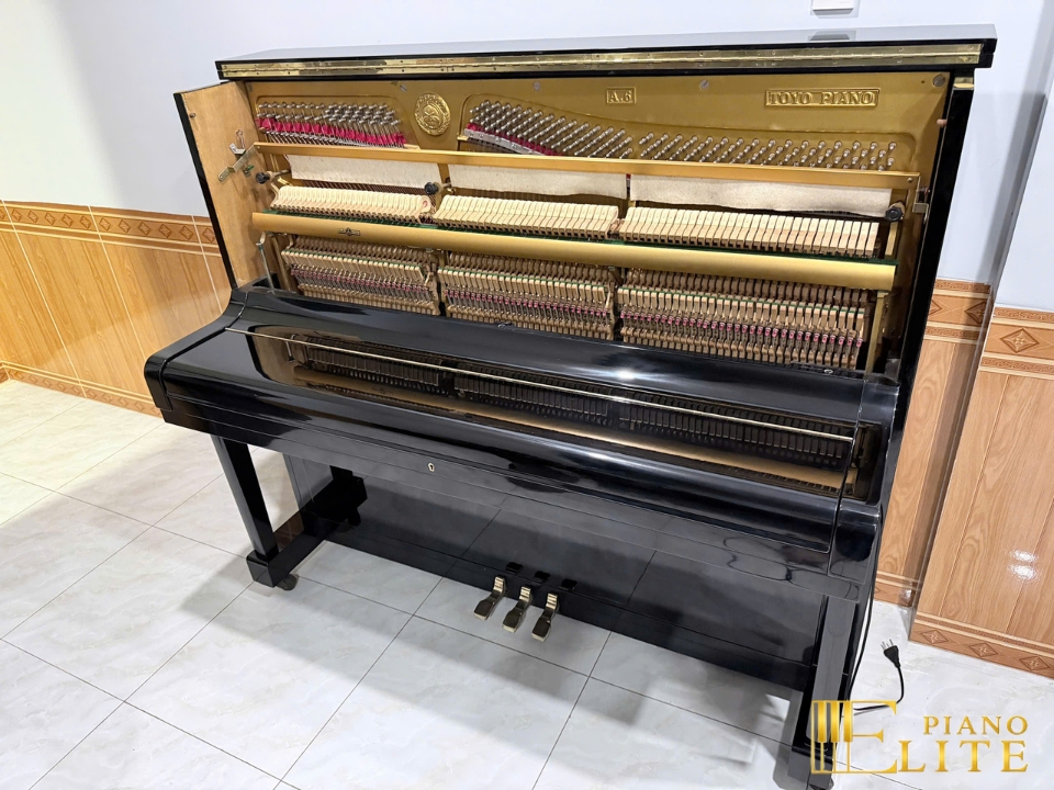Review PIANO APOLLO A6 – Hình ảnh thực tế tại showroom Elite Piano