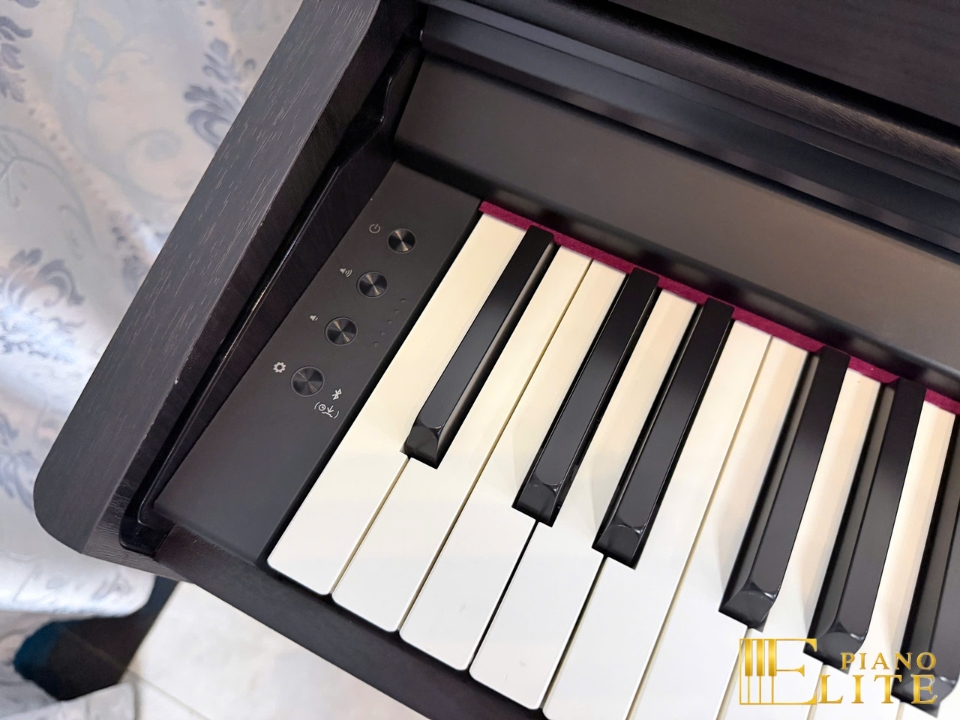 ROLAND RP-701 DR (Used) – Mặt sau và hệ thống dây đàn Roland