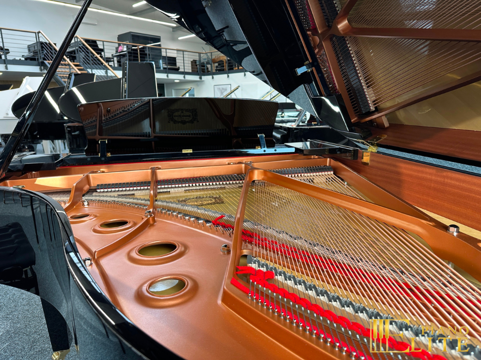 Showroom Elite Piano tại TP.HCM