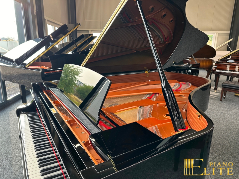 YAMAHA C6X