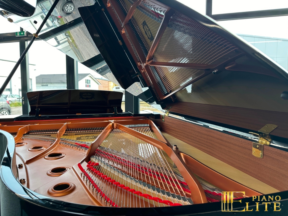 Review YAMAHA C6X – Hình ảnh thực tế tại showroom Elite Piano