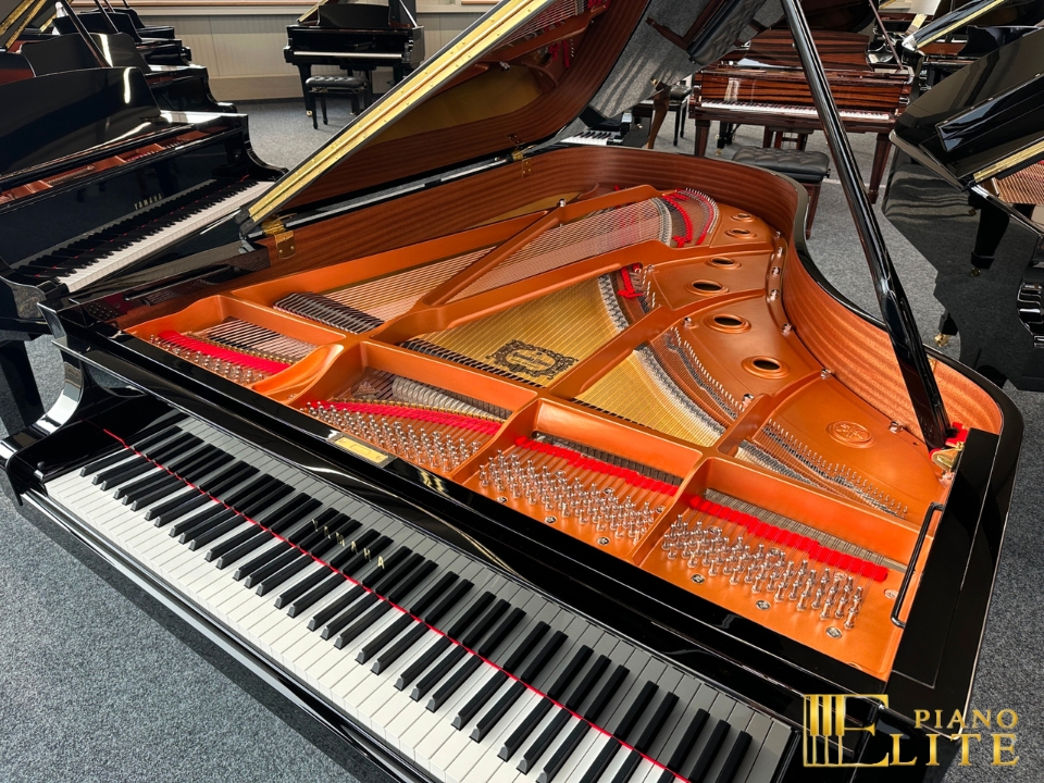 YAMAHA C6X