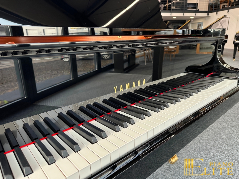 YAMAHA C6X