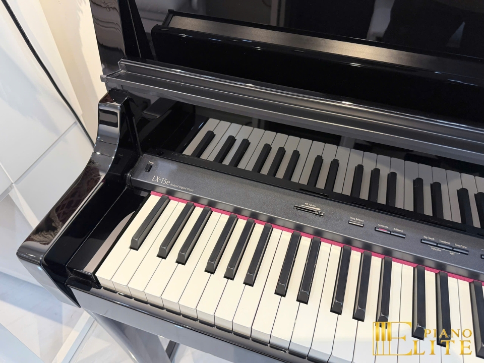 ROLAND LX-15e PE