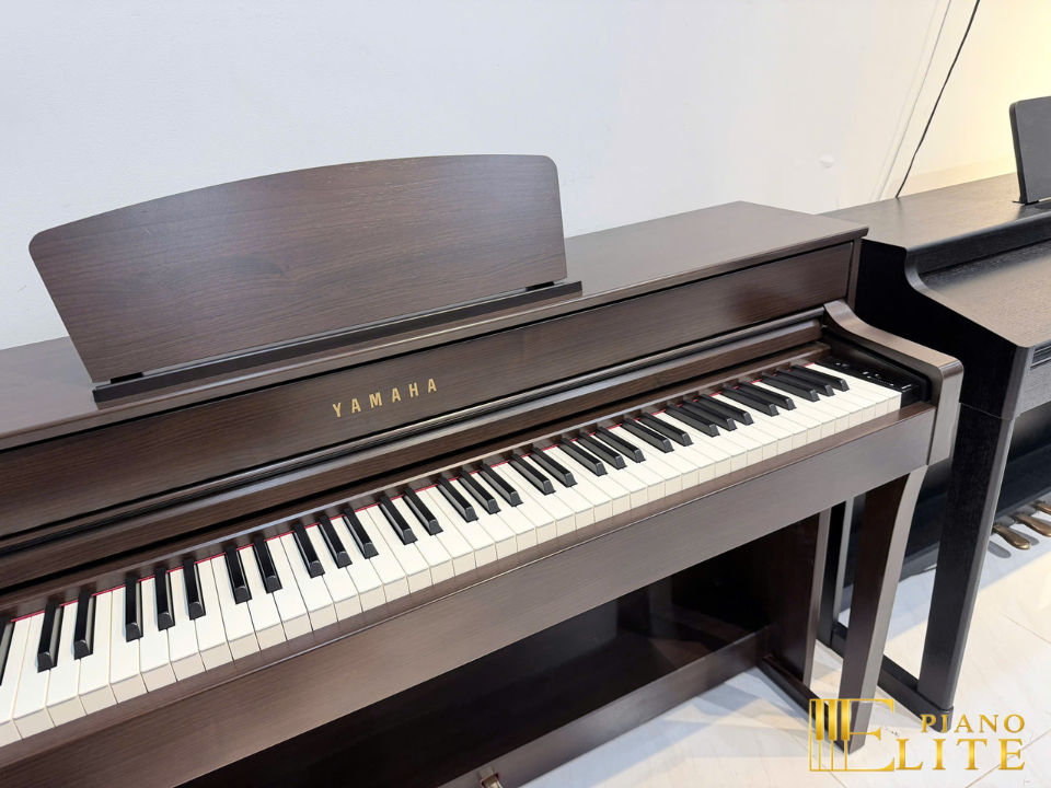 Review YAMAHA SCLP-6350 – Hình ảnh thực tế tại showroom Elite Piano