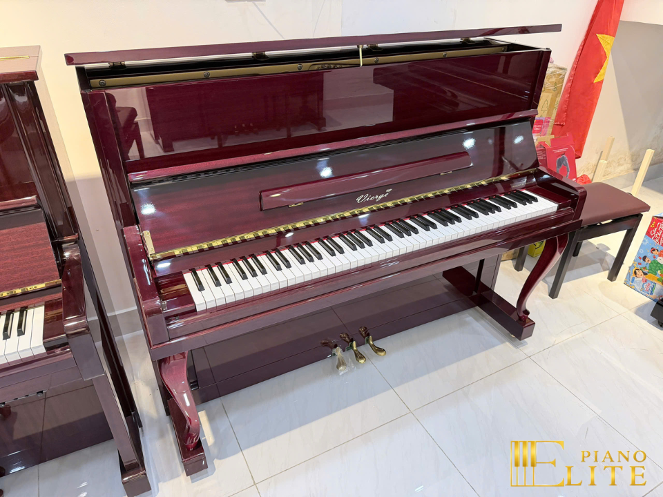 Vierge V-116M - Đàn Piano tại Elite Piano