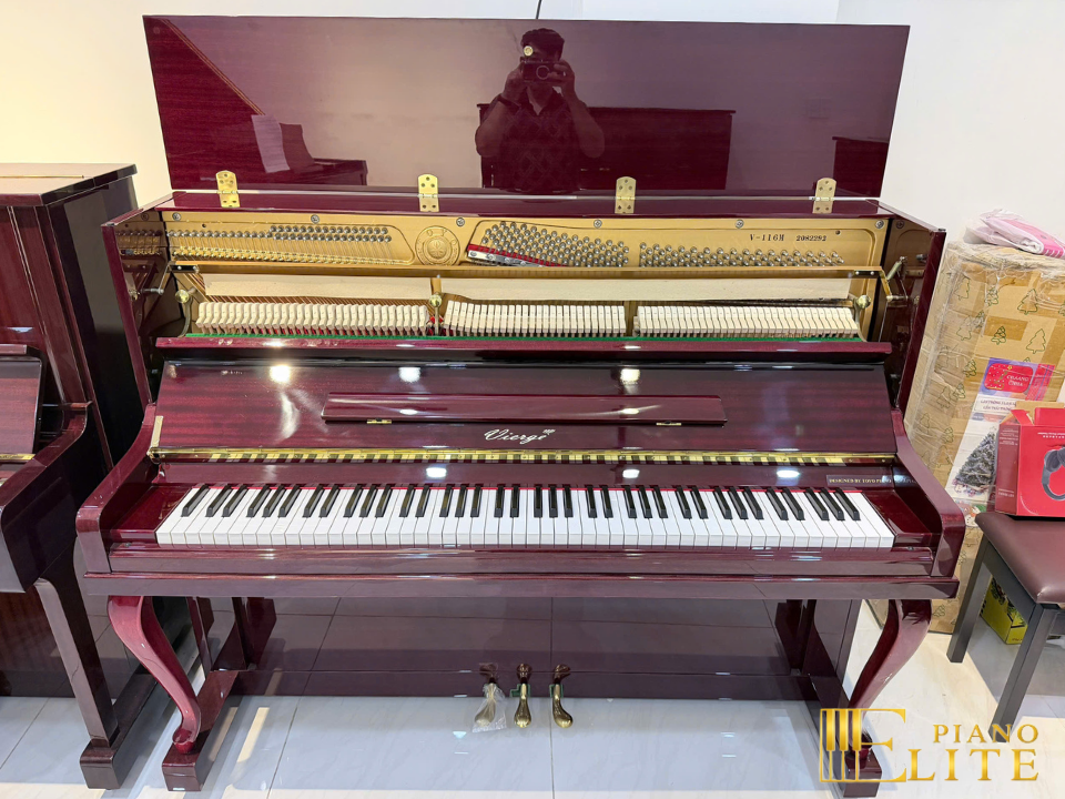 Vierge V-116M – Mặt sau và hệ thống dây đàn