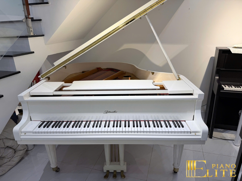 Đàn piano Ritmüller Ritmuller GP160R PW (USED) – Chi tiết bàn phím