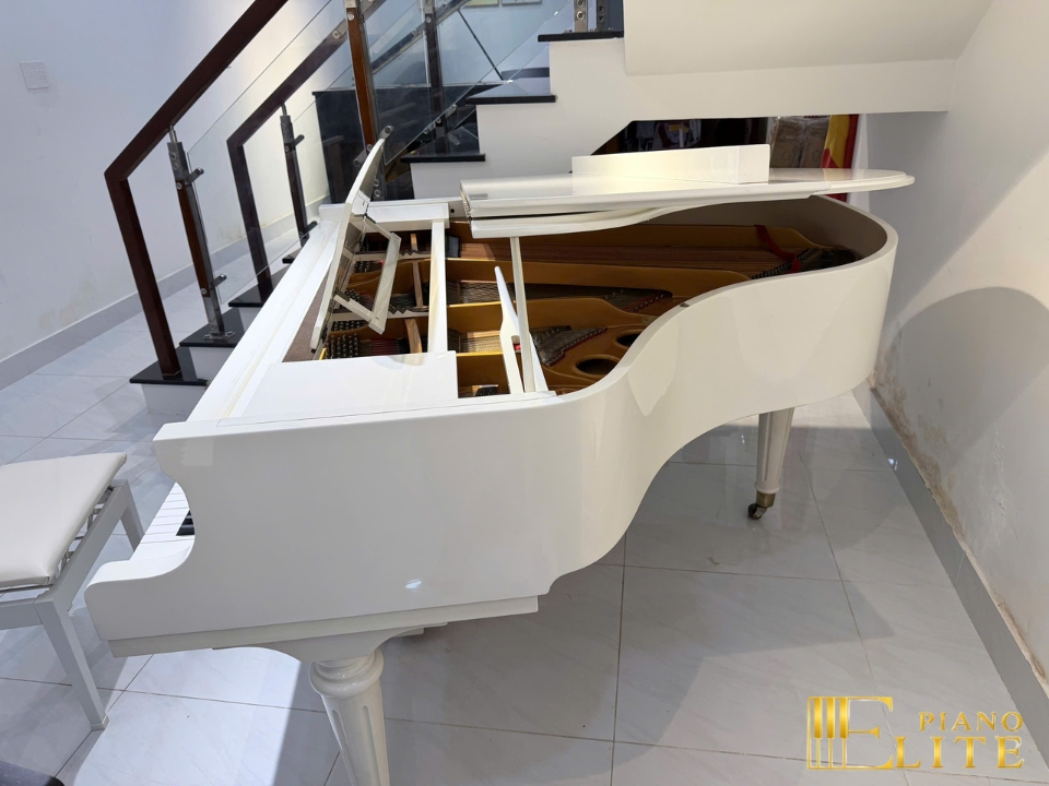 Ritmuller GP160R PW (USED) – Mặt sau và hệ thống dây đàn Ritmüller