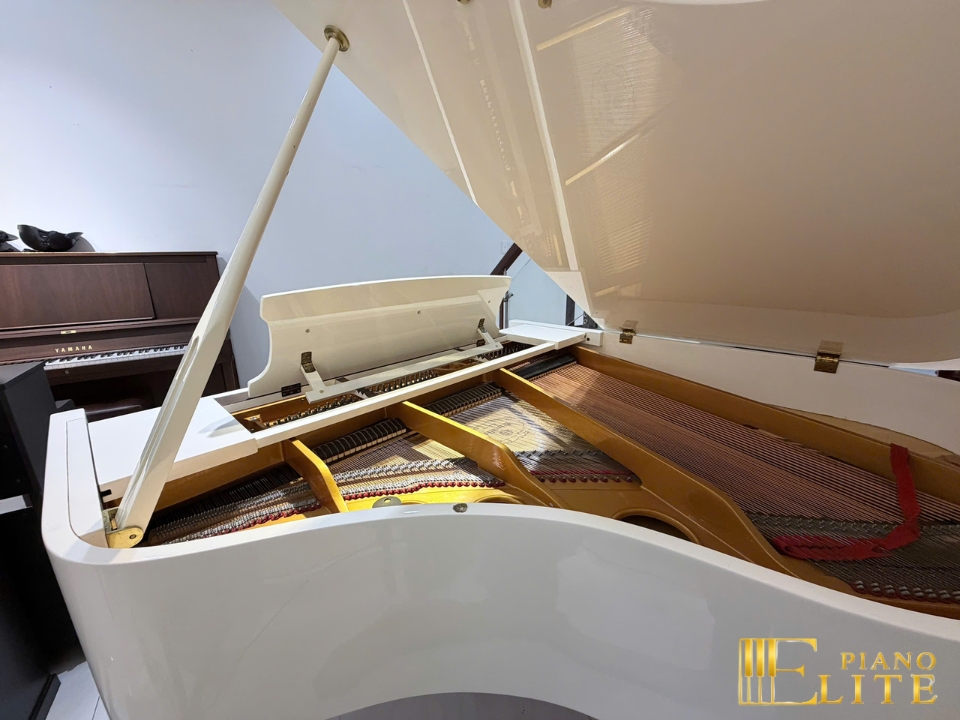 Ritmuller GP160R PW (USED) tại Elite Piano TP.HCM – Không gian trưng bày