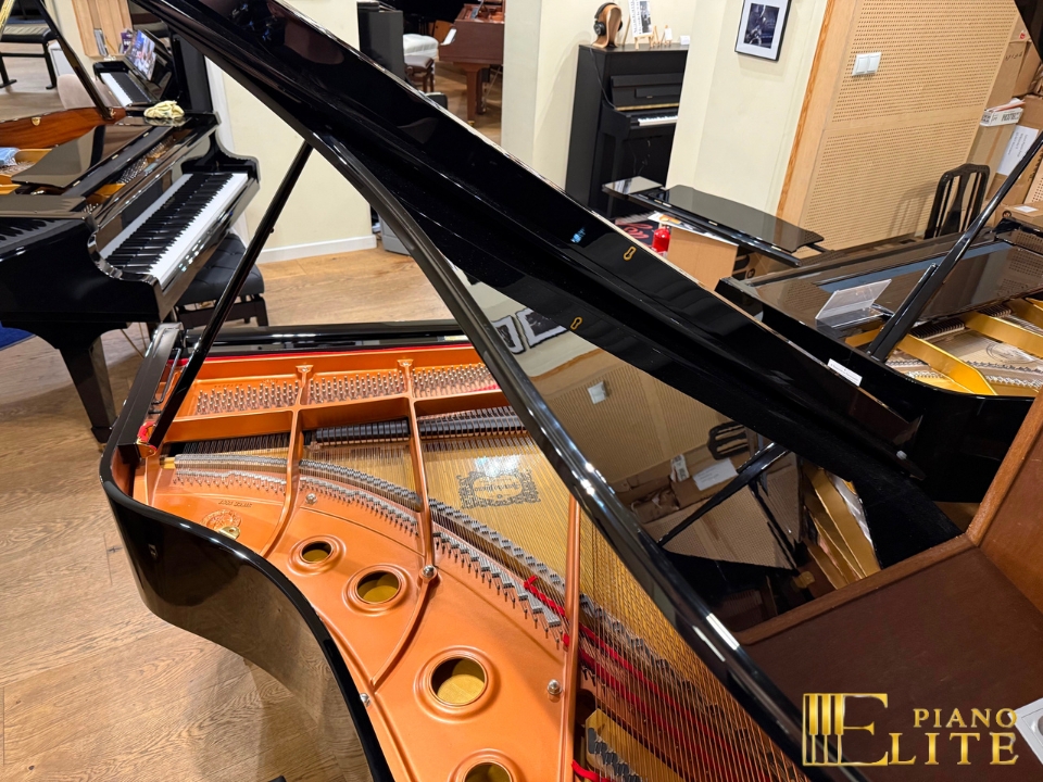 Review YAMAHA C3L – Hình ảnh thực tế tại showroom Elite Piano