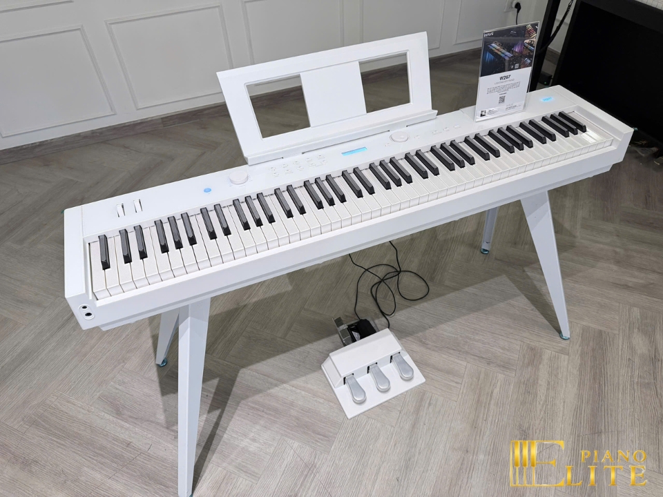 Wave W267 LED Key | Phím piano led độc đáo (trắng & đen)