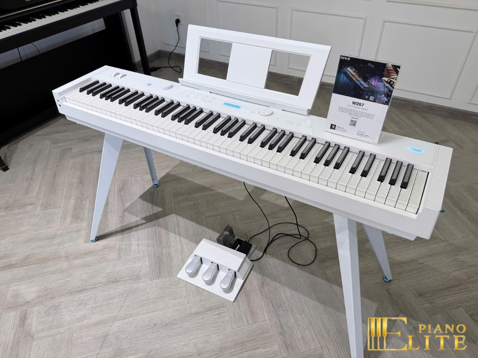 Wave W267 LED Key | Phím piano led độc đáo (trắng & đen)